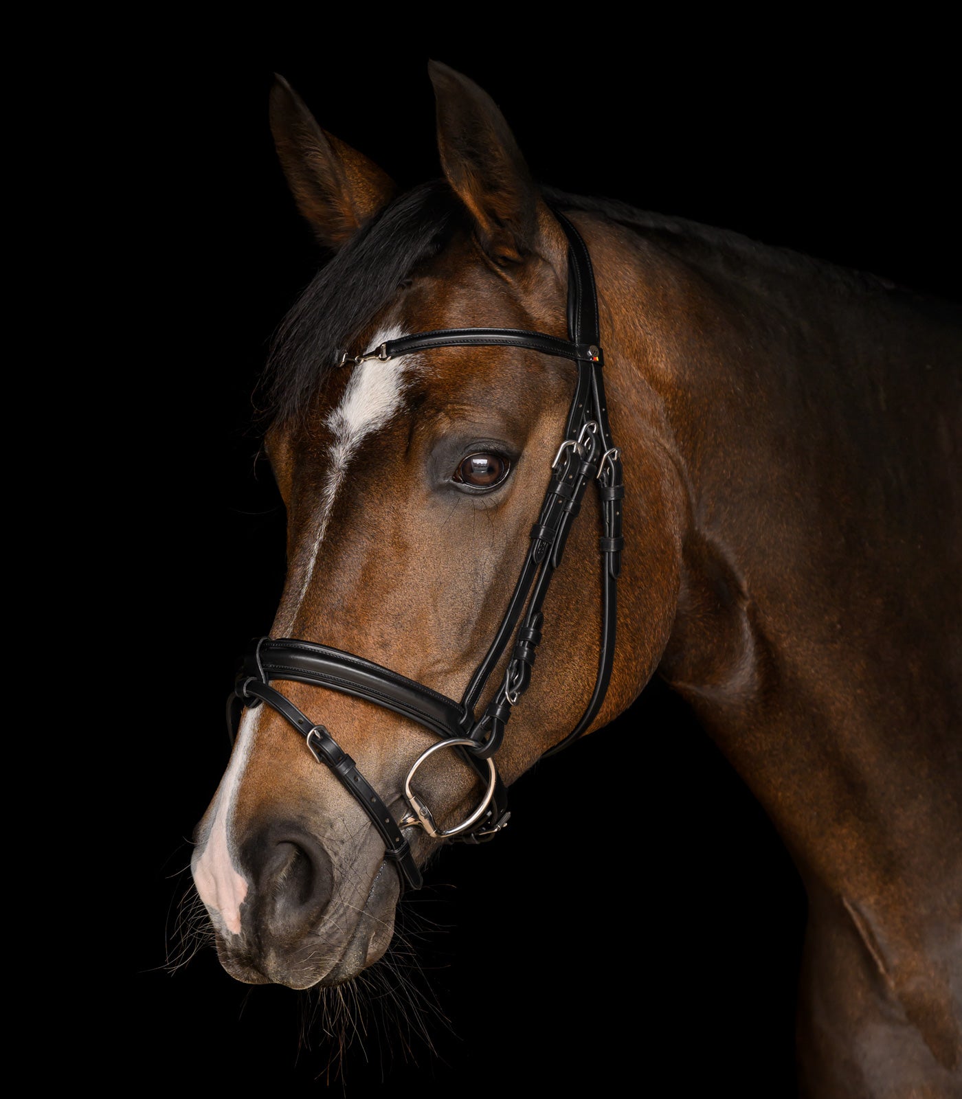 Waldhausen - bridle X-Line Charmbit