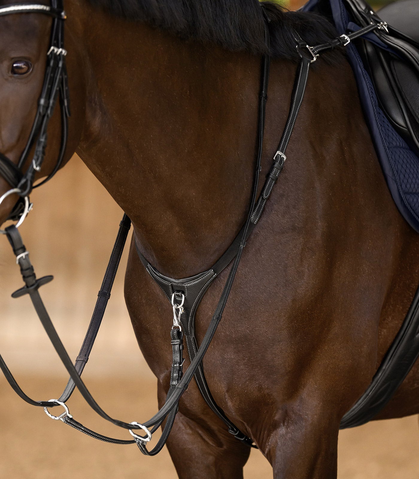 Waldhausen - Waldhausen X-Line Breastplate Work