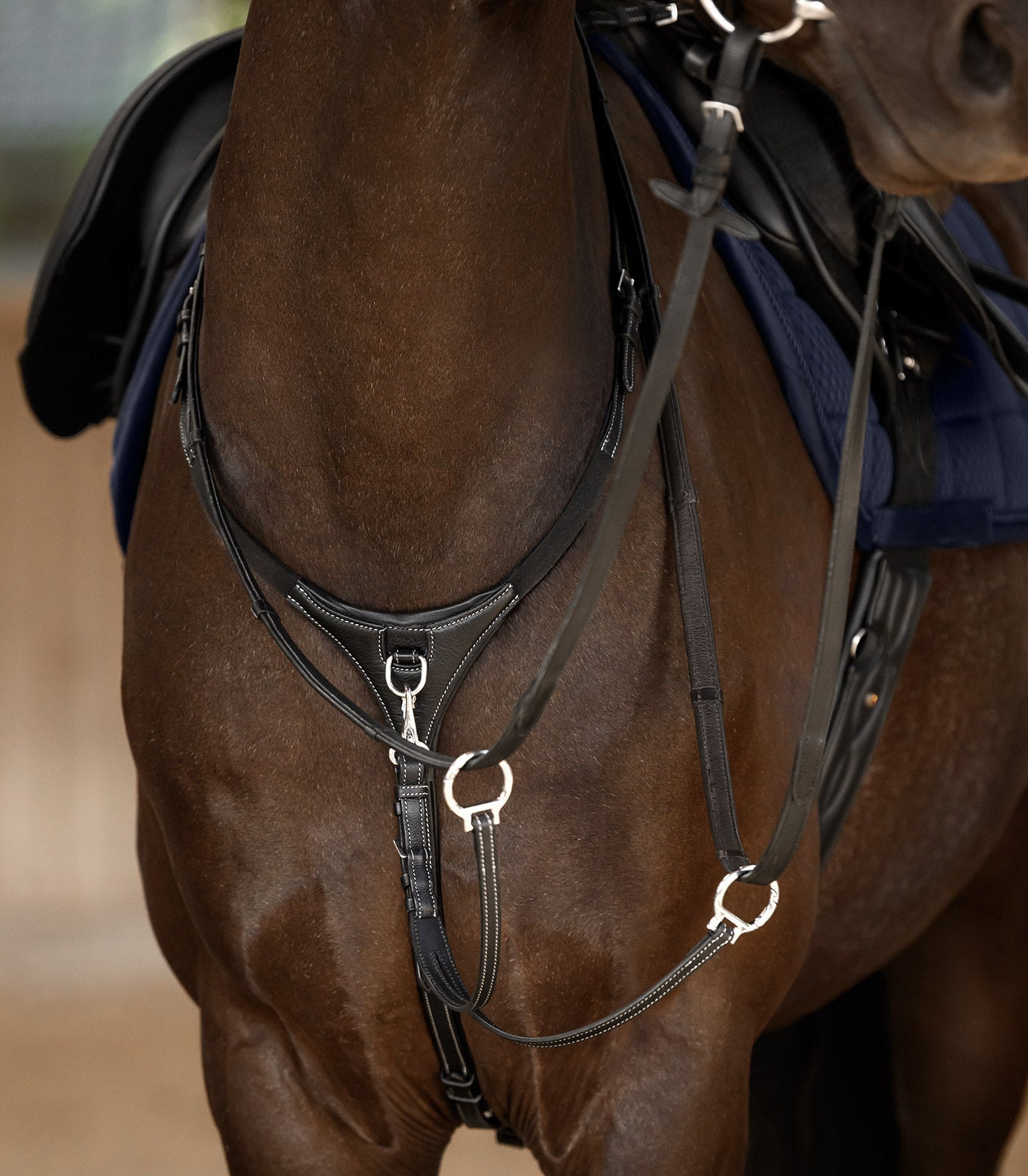 Waldhausen - Waldhausen X-Line Breastplate Work