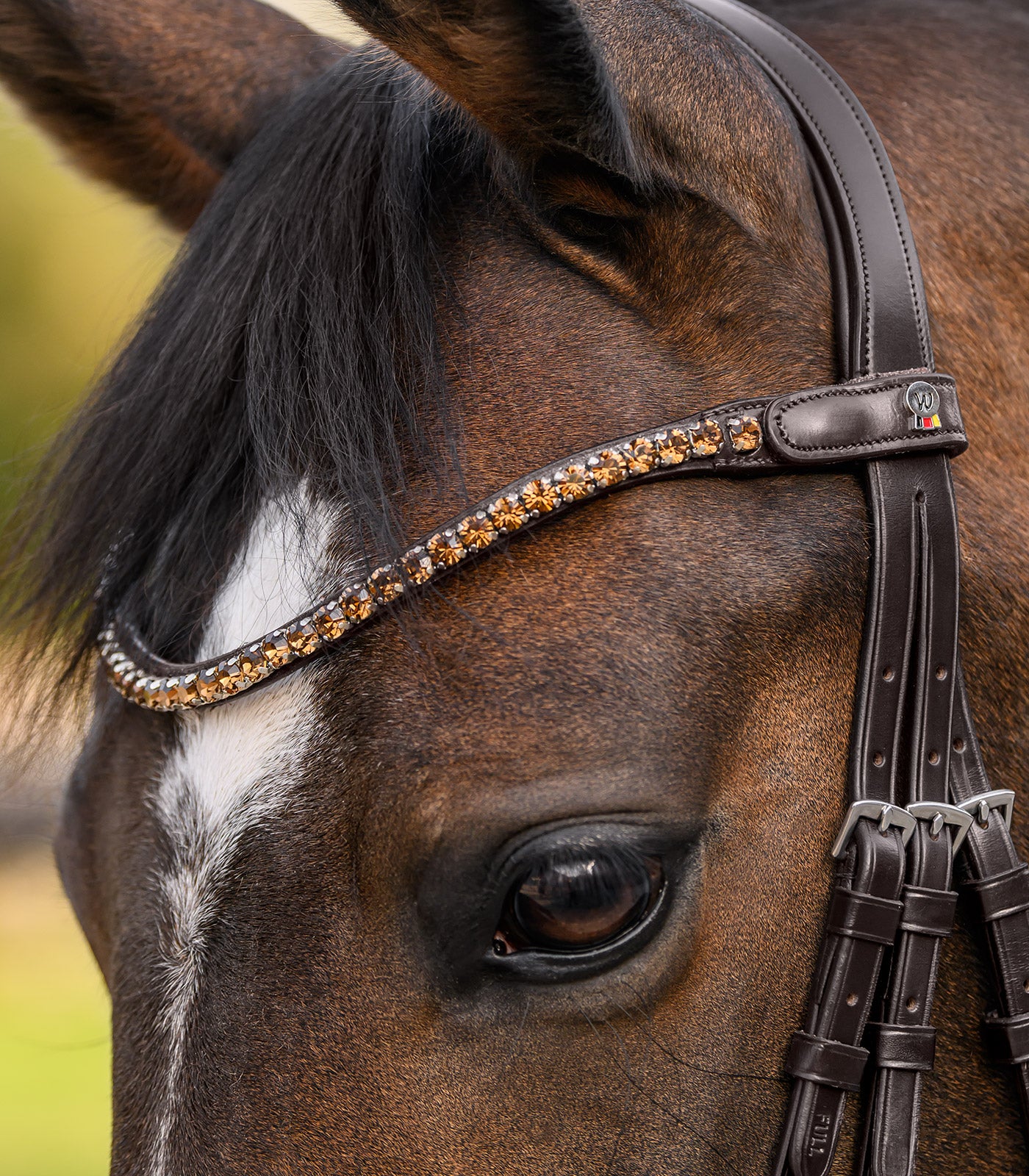 Waldhausen - Waldhausen X-Line Browband Shine, brown