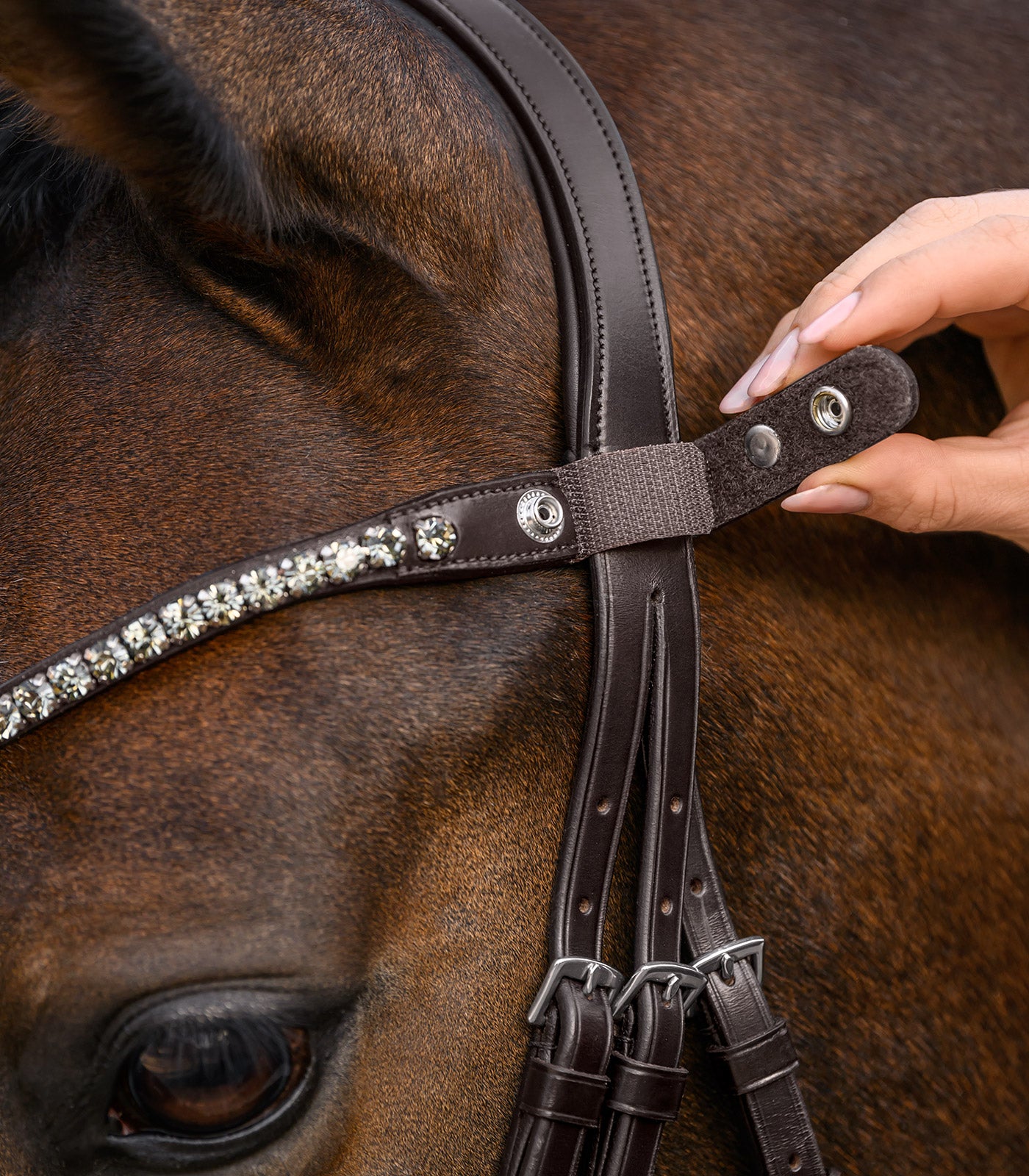 Waldhausen - Waldhausen X-Line Browband Shine, brown