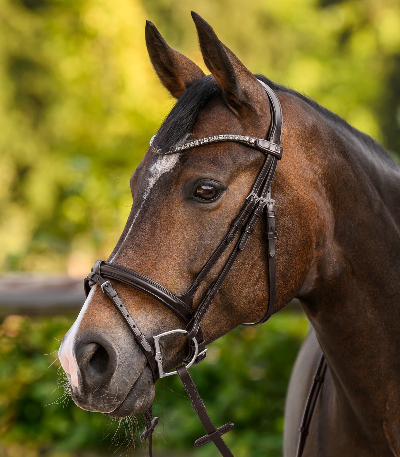 Waldhausen - Waldhausen X-Line Browband Shine, brown