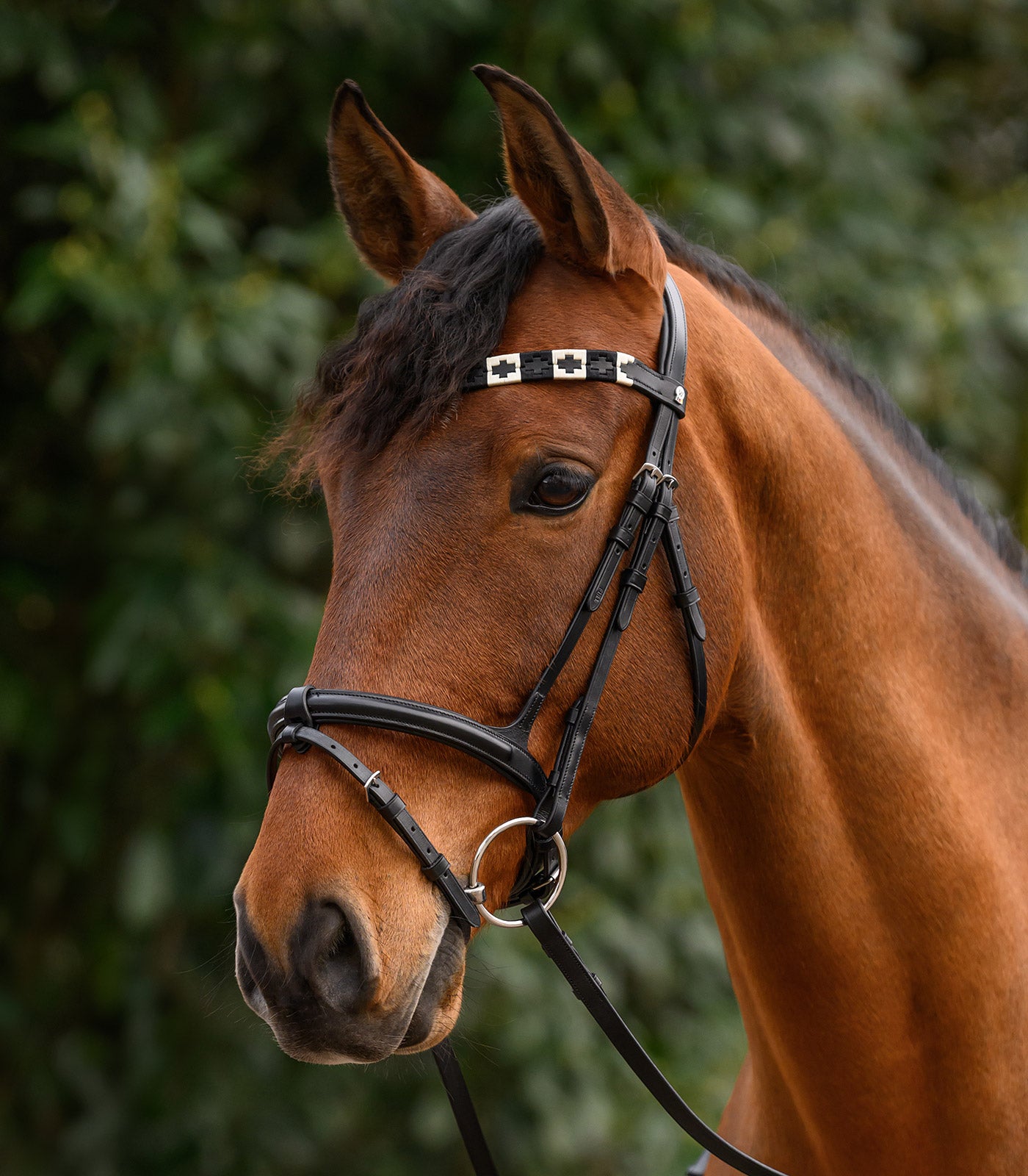 Waldhausen - X-Line Browband Polo, black