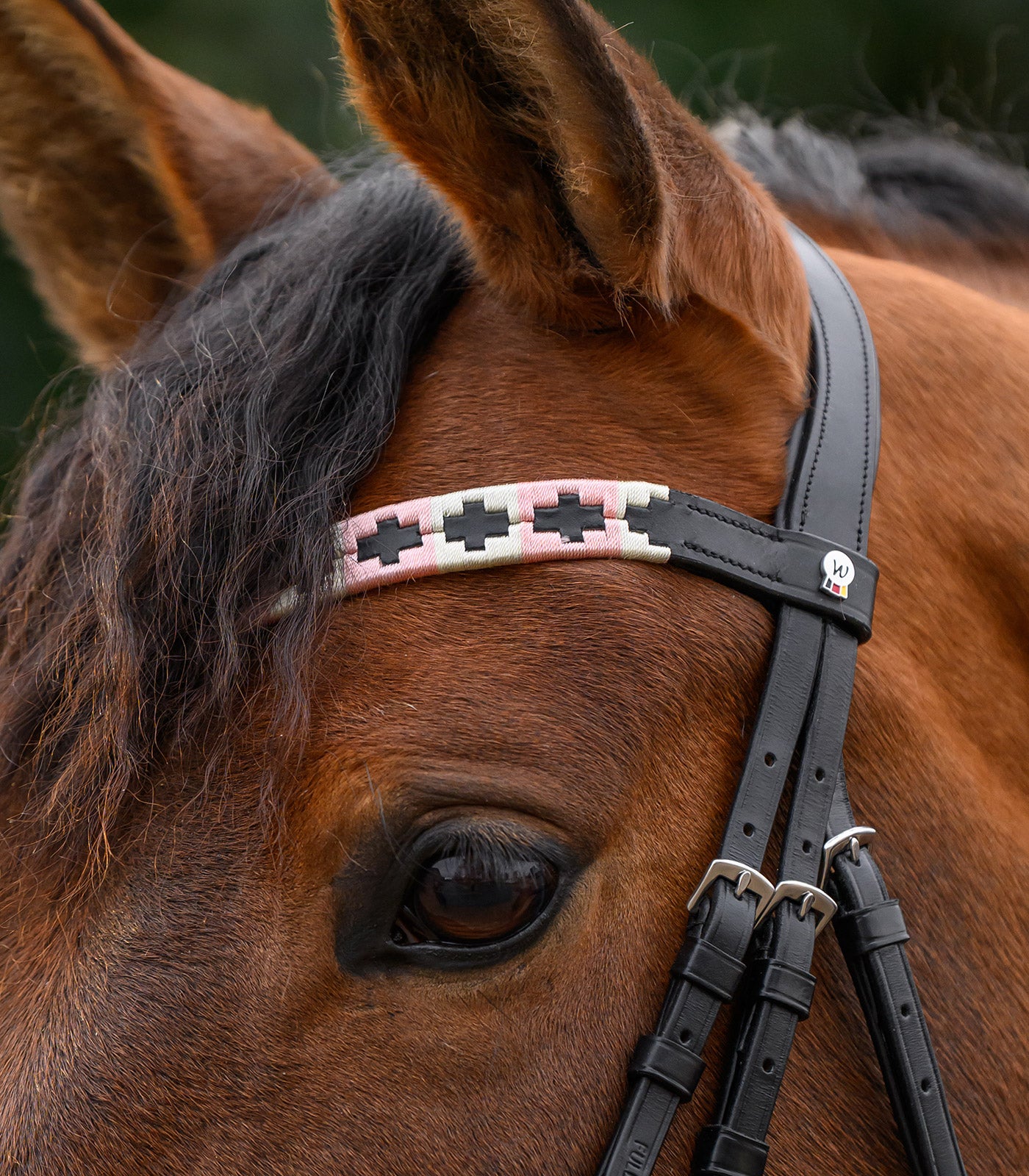 Waldhausen - X-Line Browband Polo, black