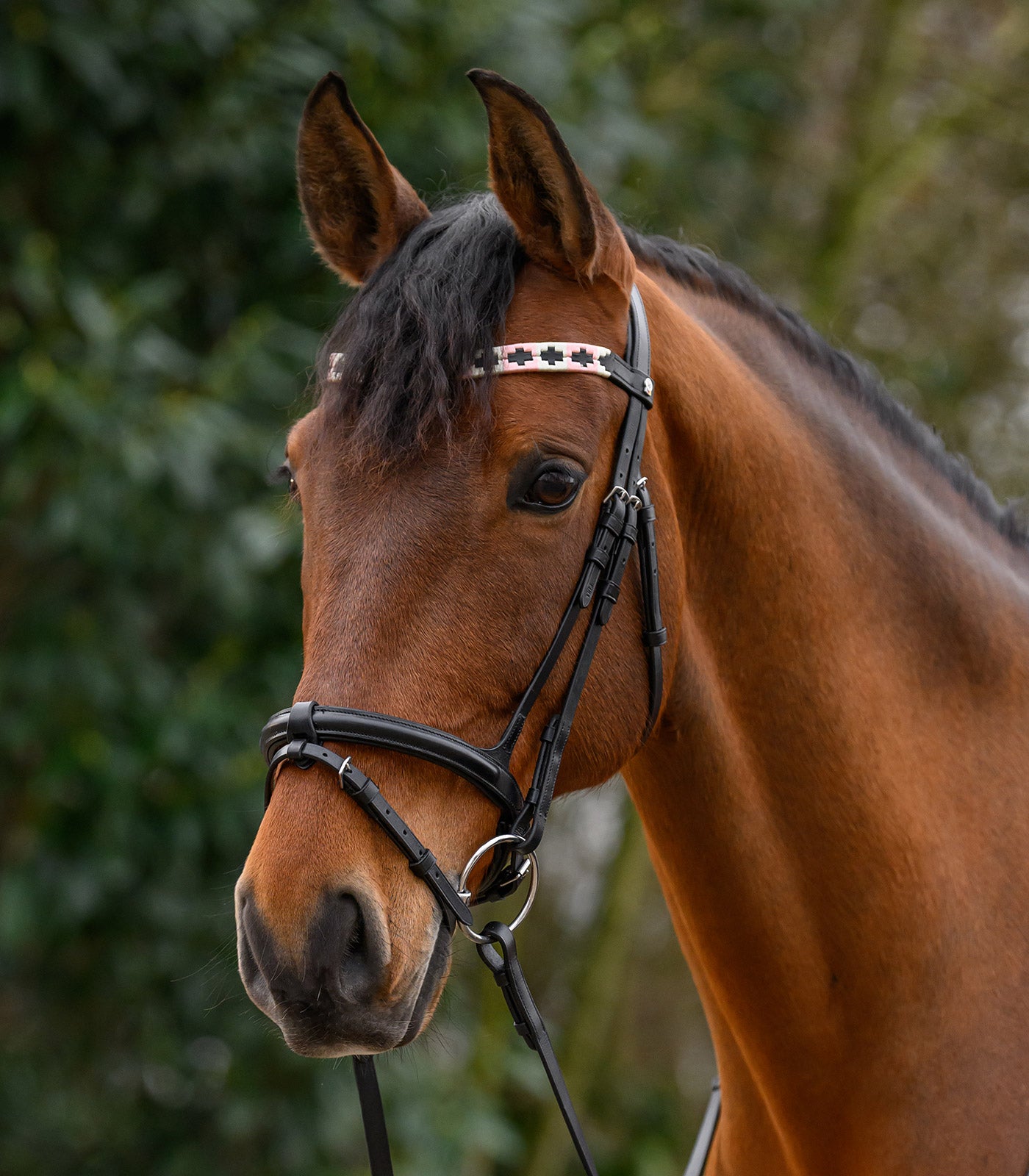 Waldhausen - X-Line Browband Polo, black