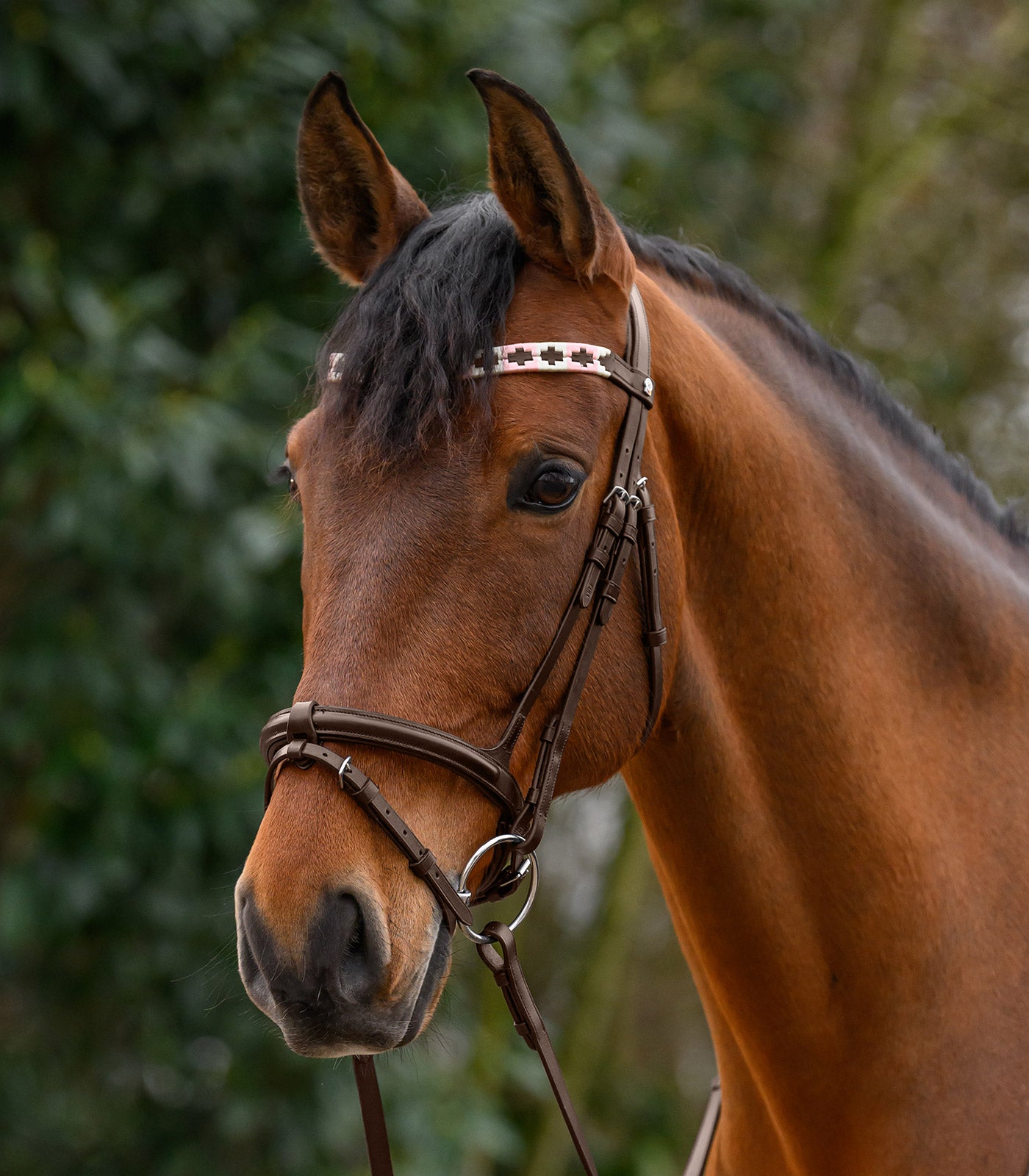 Waldhausen - X-Line Browband Polo, brown