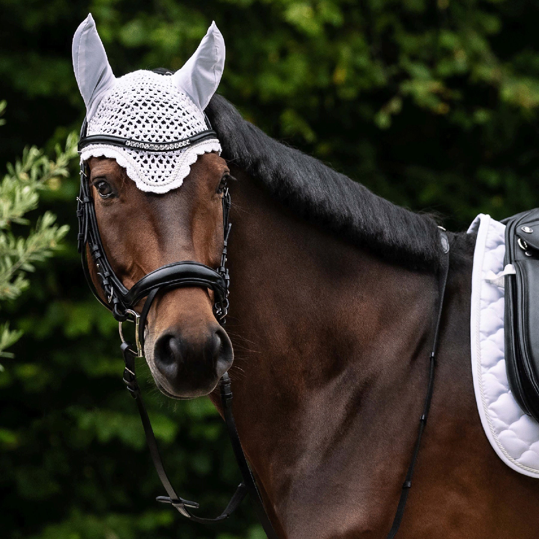 Waldhausen - S-Line bridle Sensation, engl.comb.