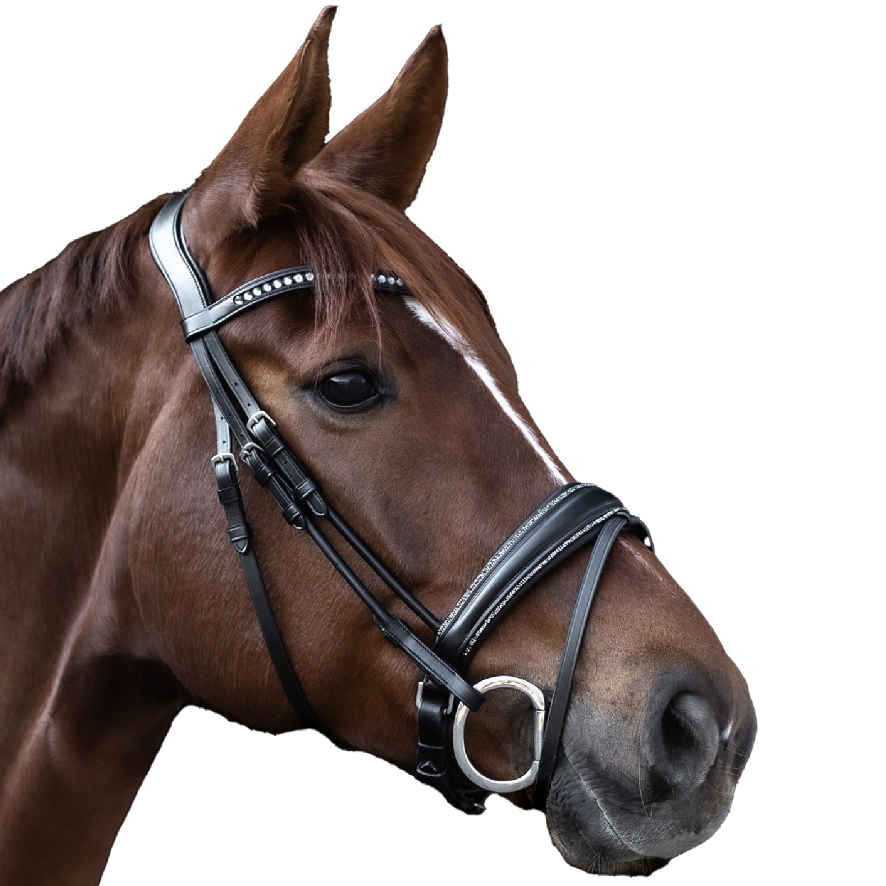 Waldhausen - bridle S-Line Glamour, pullback, black
