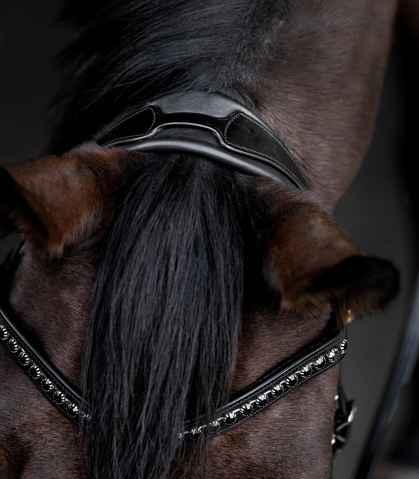 Waldhausen - Waldhausen S-Line Bridle Blackshine