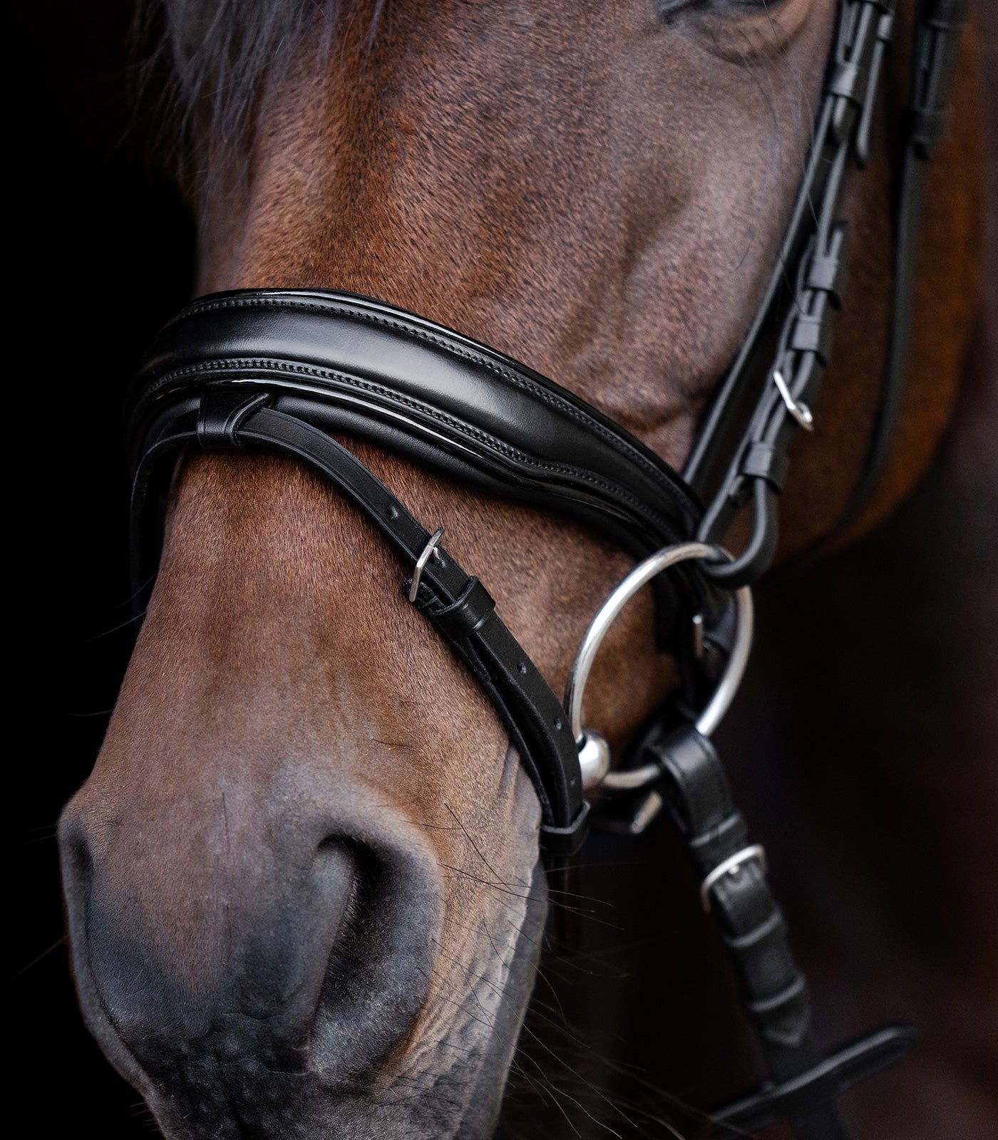 Waldhausen - Waldhausen S-Line Bridle Blackshine