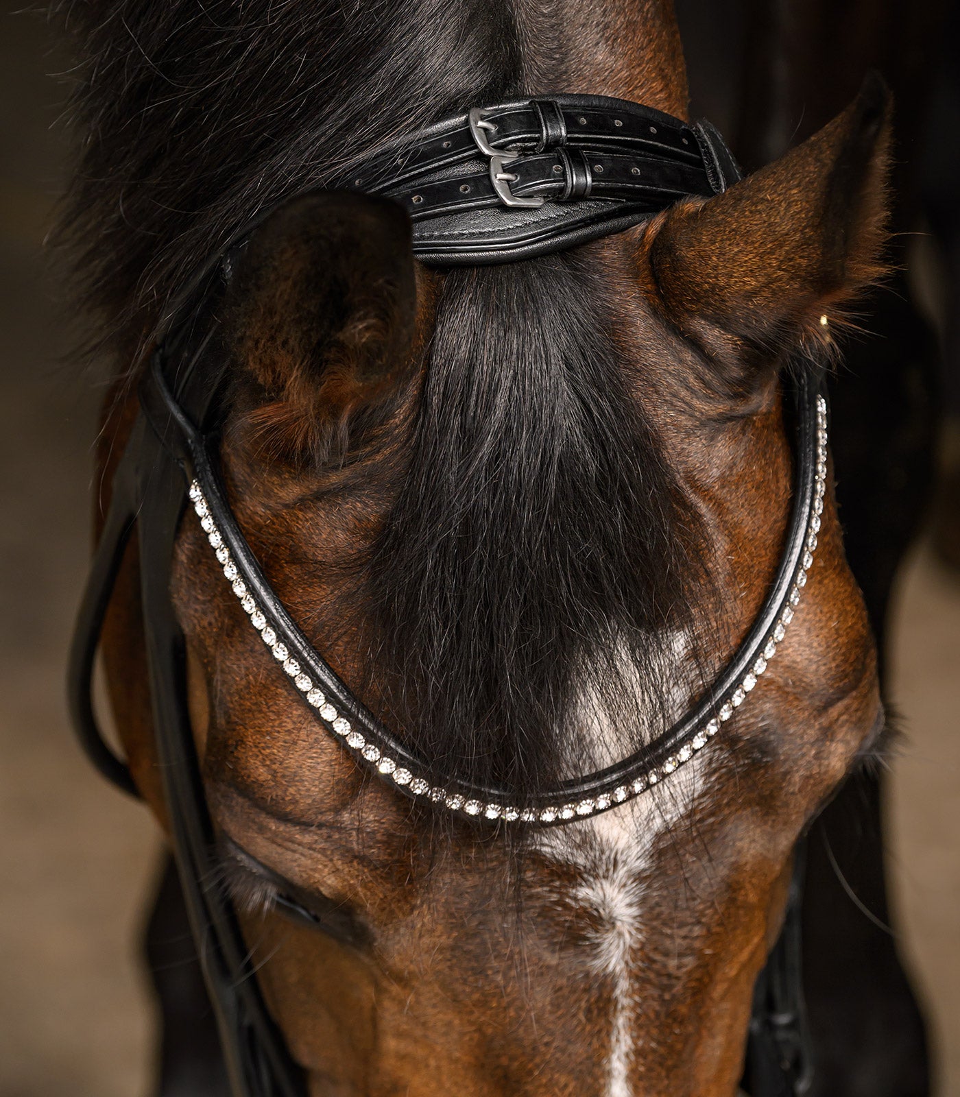 Waldhausen - bridle S-Line Grace, pullback, black