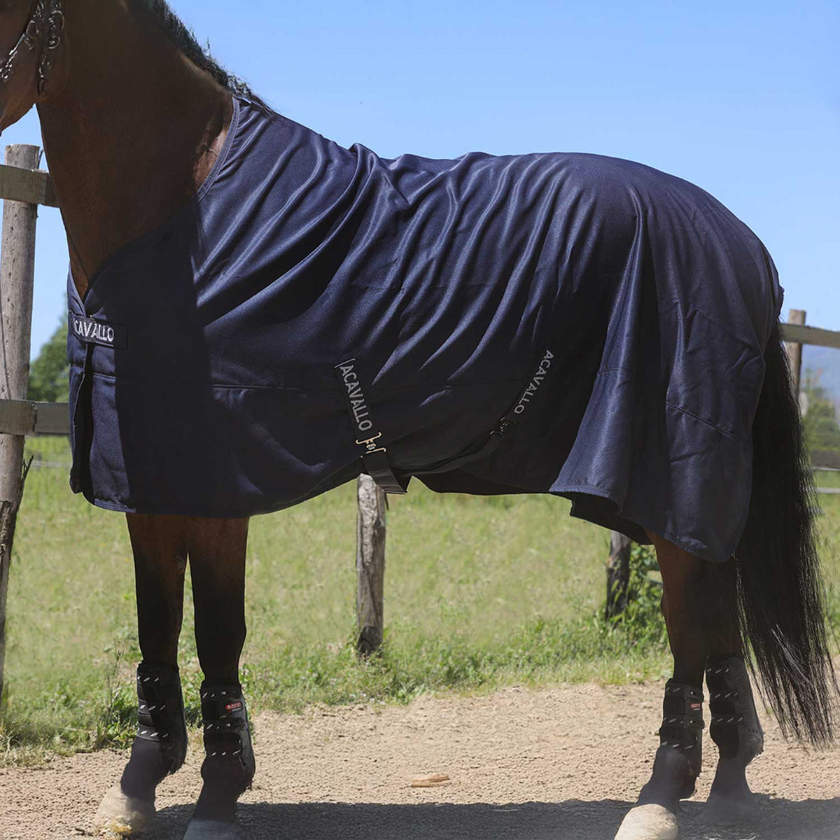 Acavallo - Staldækken, Spring Sheet