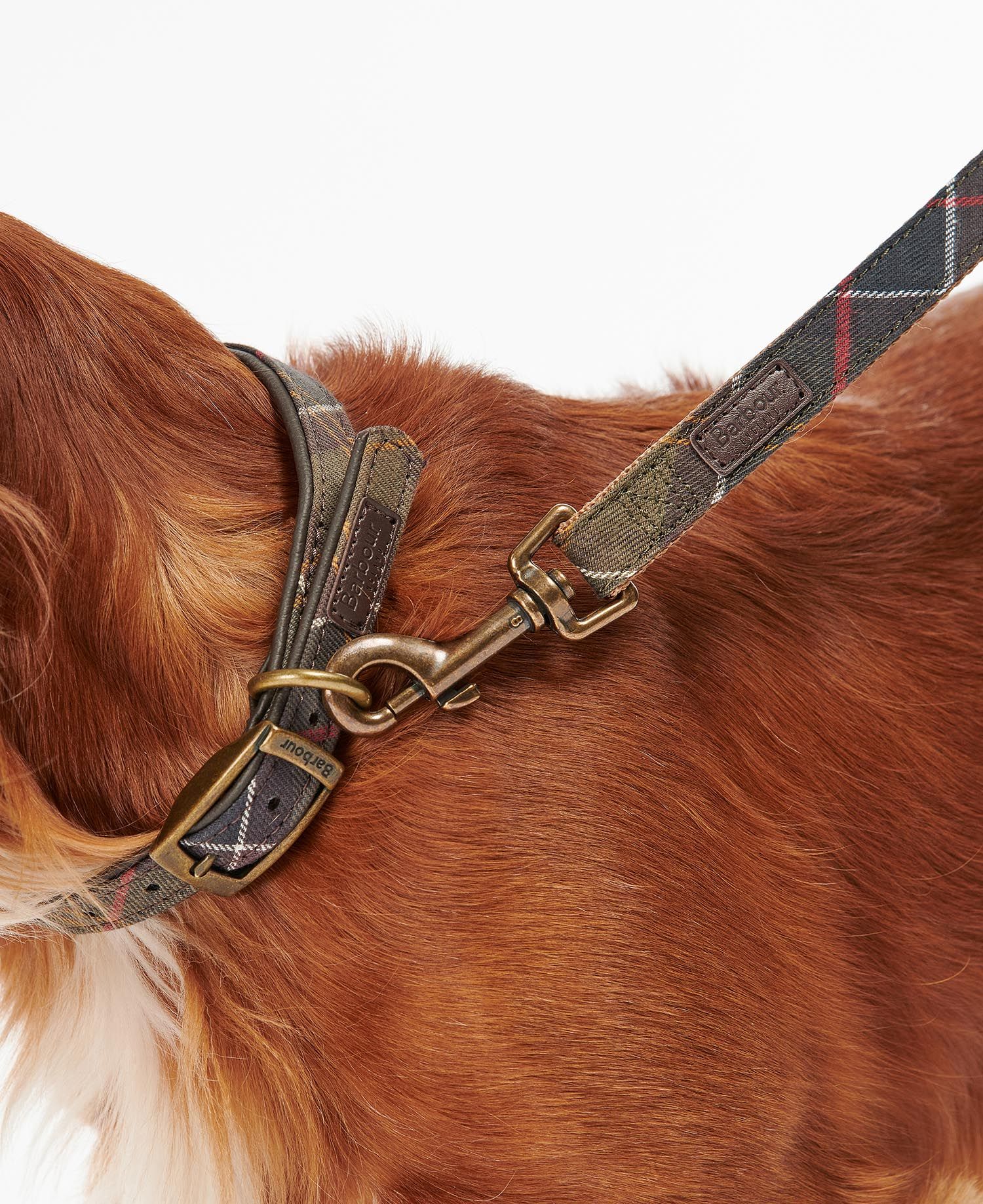 Barbour - Hundesnor, Tartan/Web