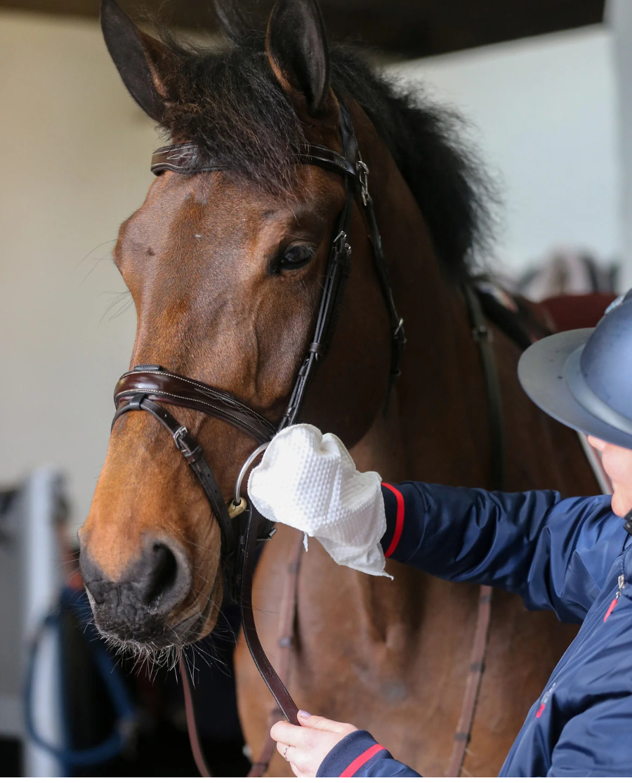 Belvoir Tack Cleaning Mitt fra CDM