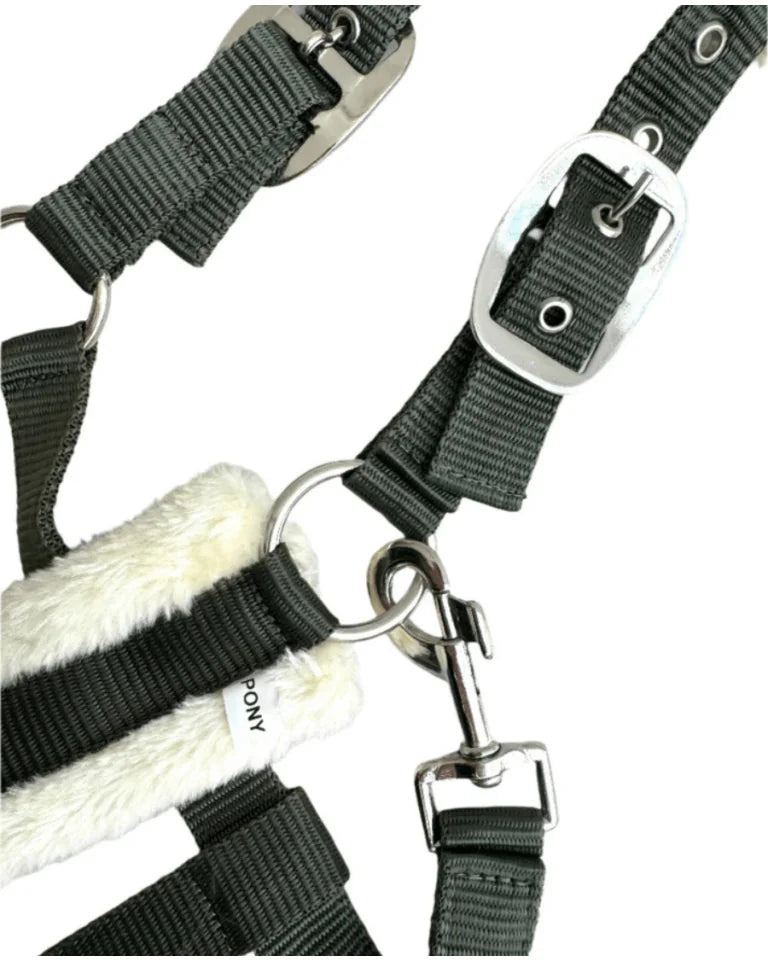 Cavalli Teddy Grime - Moss Green