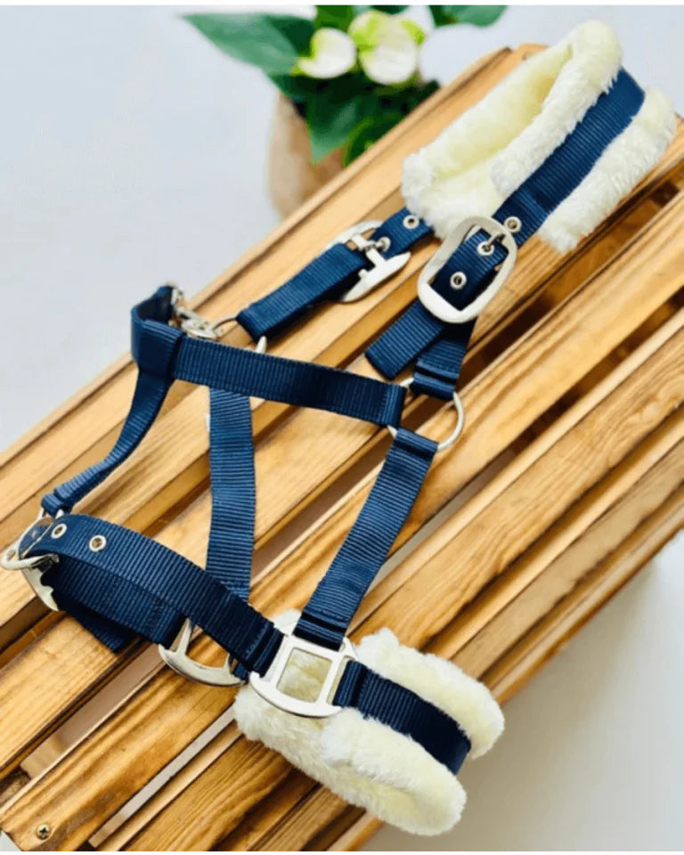 Cavalli Teddy Grime - Navy
