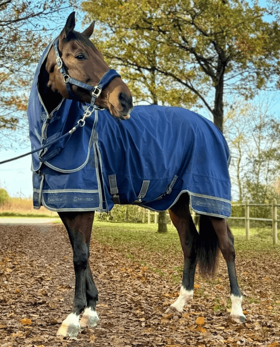 Cavalli - Regndækken 0 gram - Navy