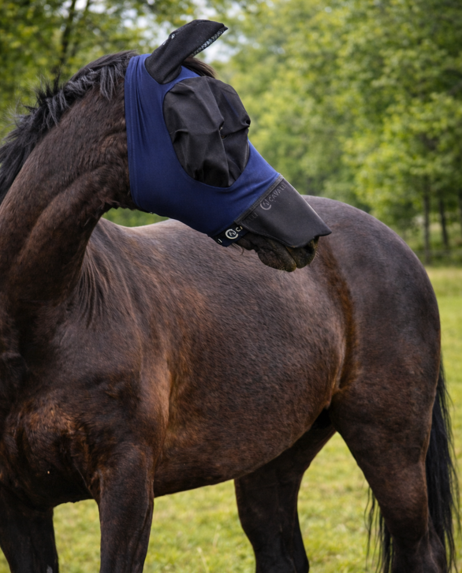 Cavalli Fluemaske med ører og mulenet-Black