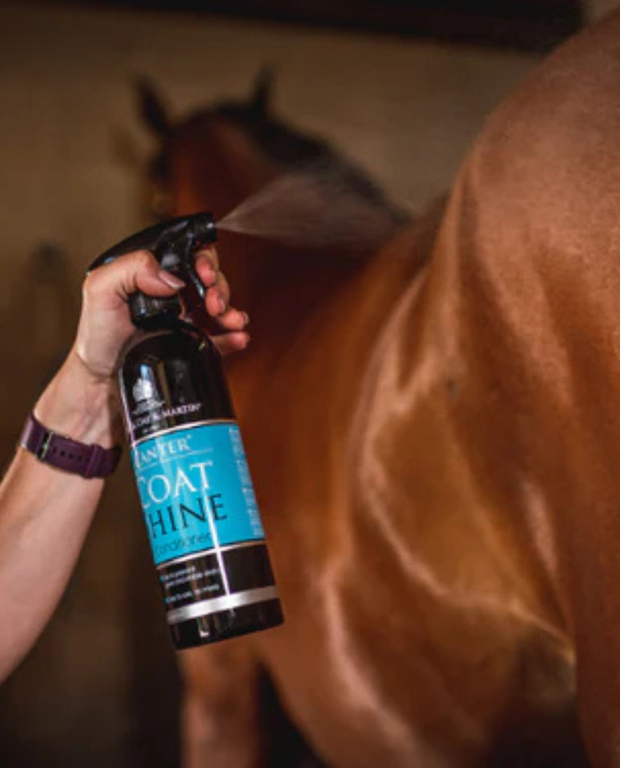 Coat Shine, 500 ML fra CDM