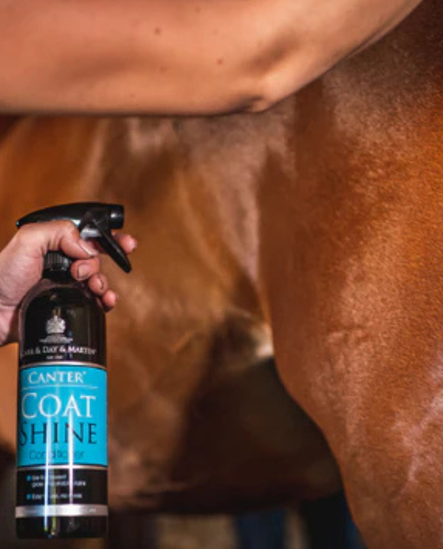 Coat Shine, 500 ML fra CDM