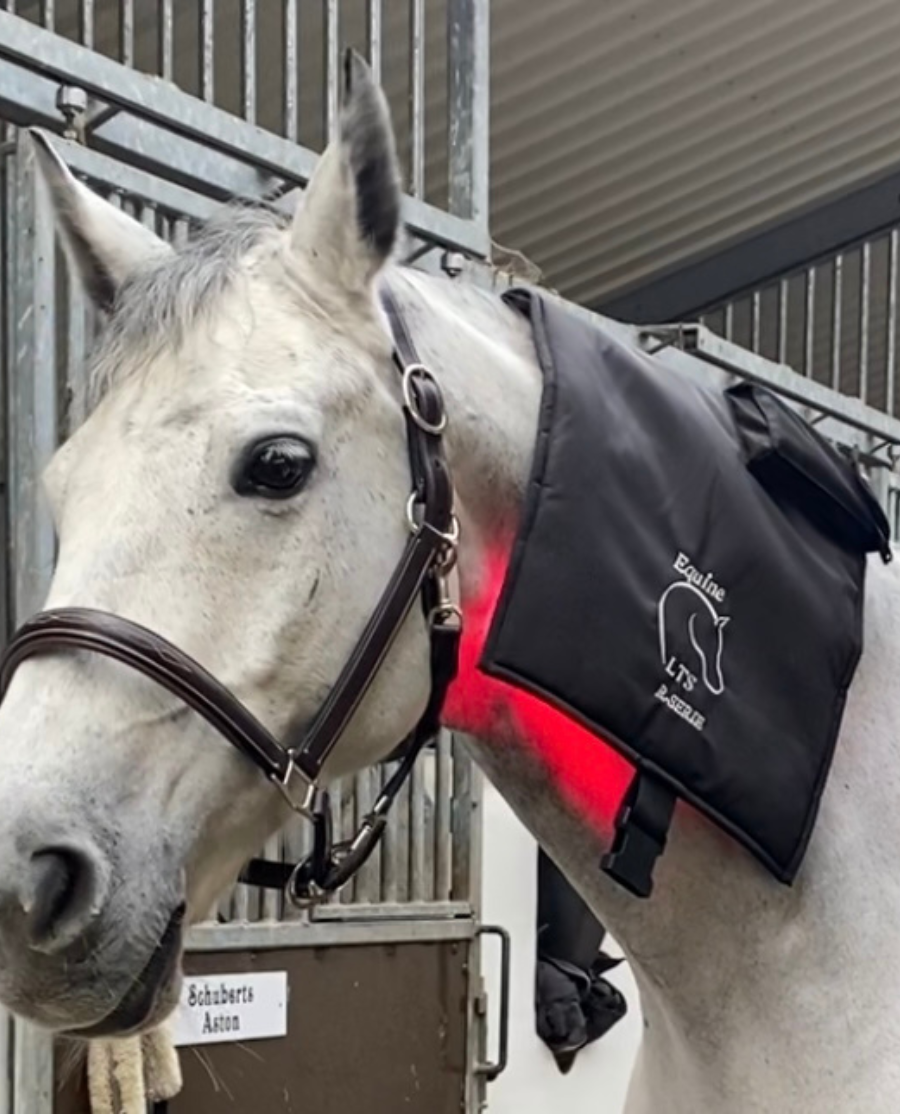 Equine LTS Complete Care Bundle