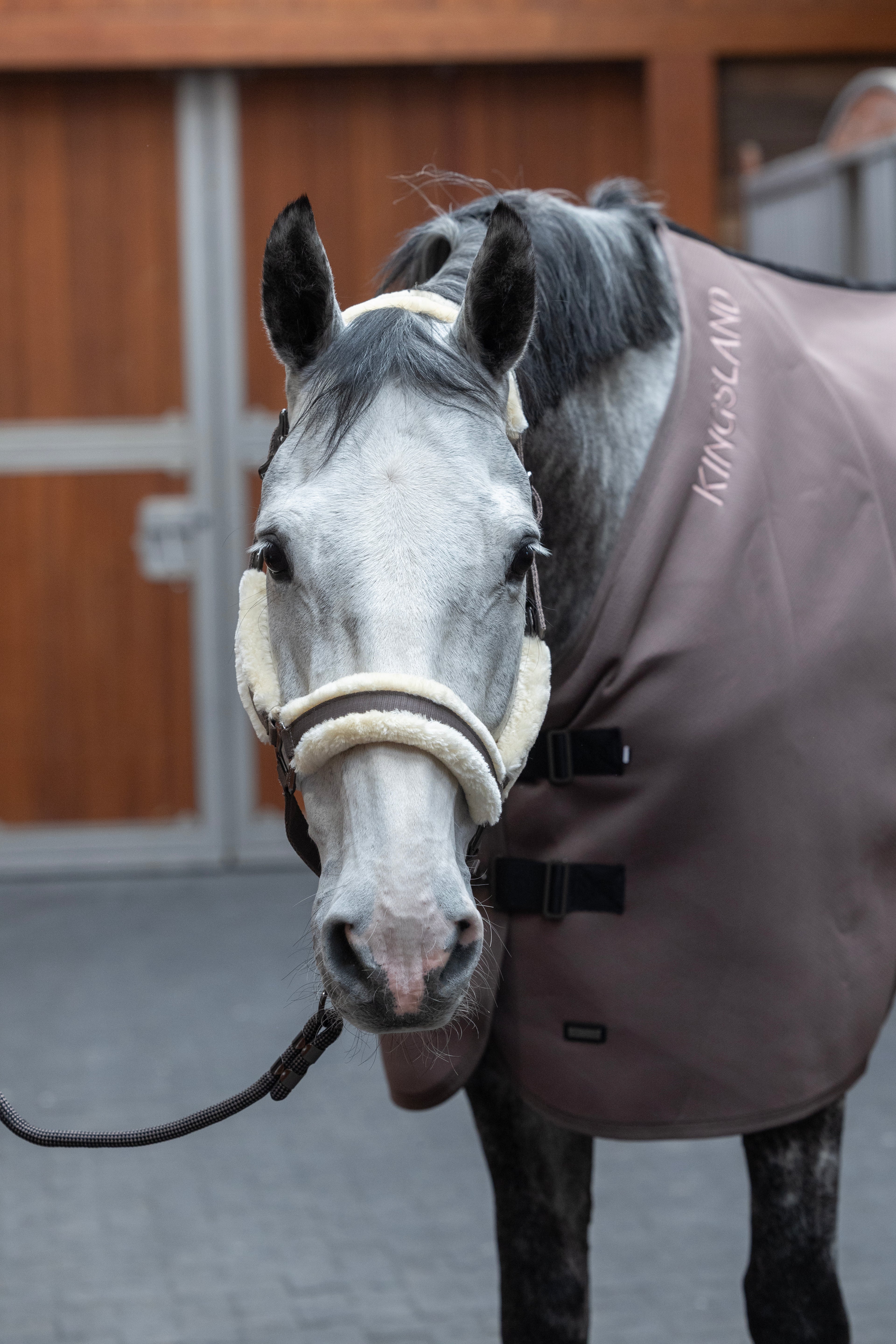 Kingsland - Lexie, Cooling rug- Brown Iron