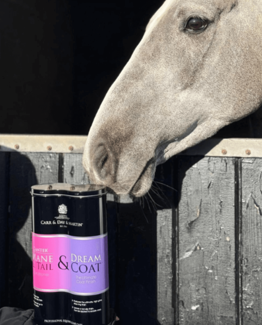 Carr & Day & Martin - Grooming Duo Mane and Tail + Dream Coat