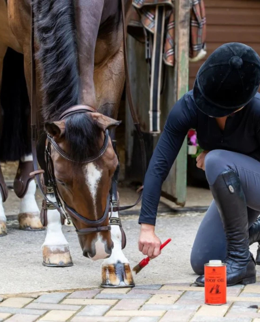 Carr & Day & Martin Vanner & Prest Hoof Oil