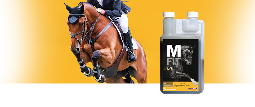 NAF - E-vitamin, M Fit, 1L