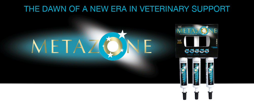 NAF - Fordøjelse, Metazone, 3-pak
