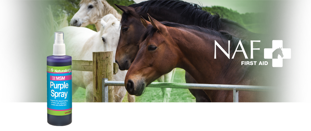 Naturalintx Purple Spray med MSM