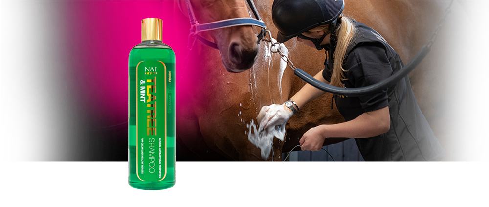 NAF - Shampoo, Tea tree + Minty, 500 ml