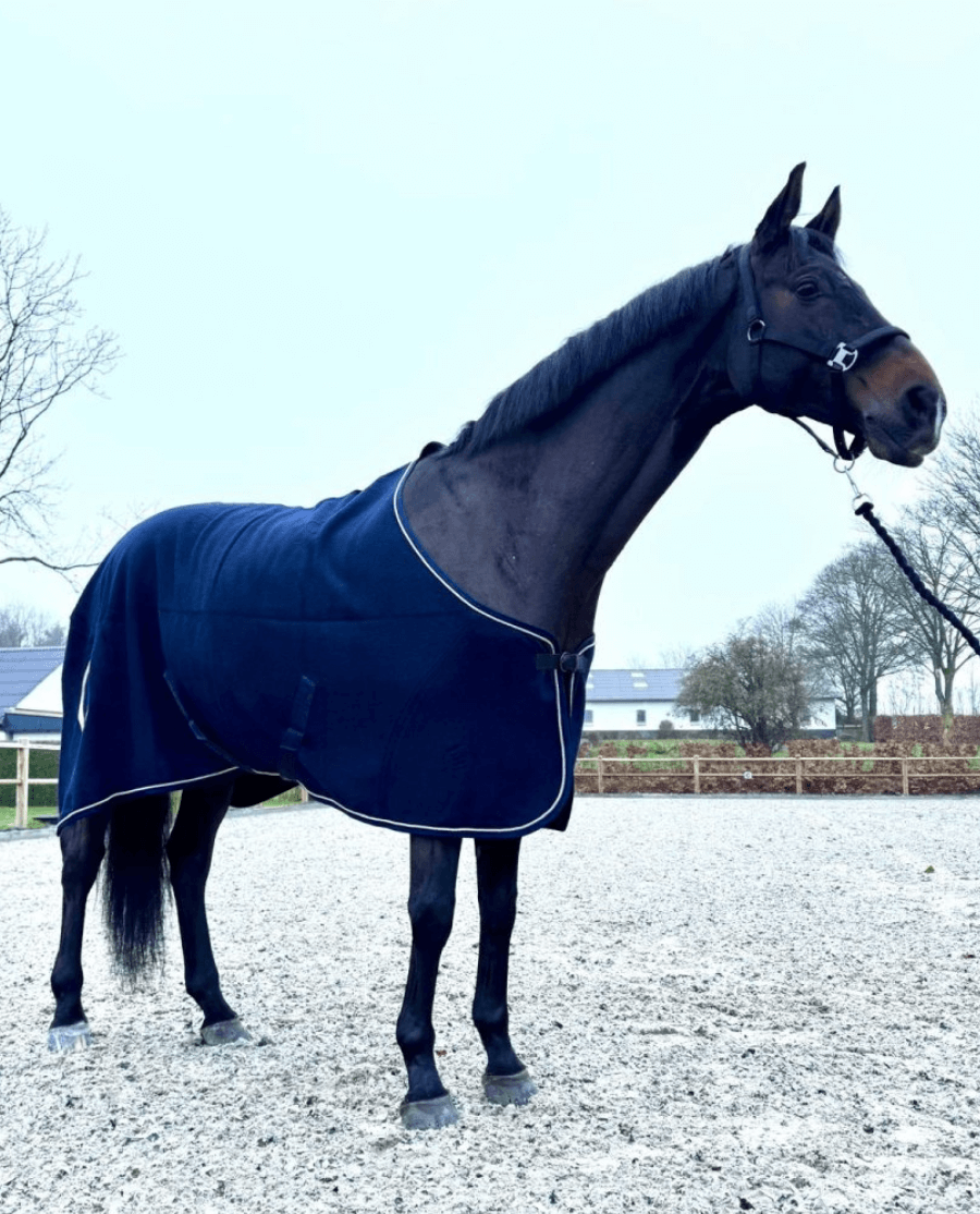 Cavalli Ulddækken -Navy