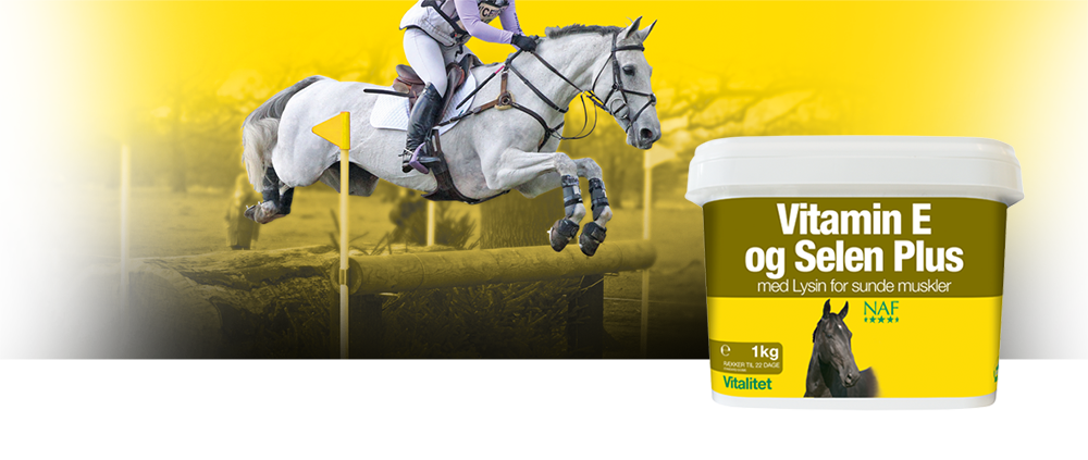 NAF - Vitamin E Selen & Lysin, 1kg