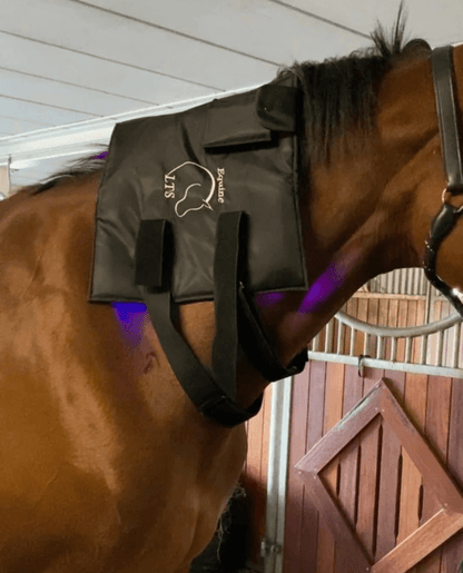 Equine LTS - 2 x justerbare elastikker
