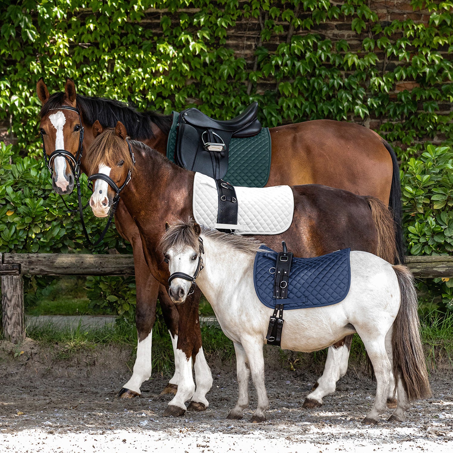 Waldhausen - Saddle Pad Felix