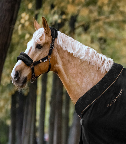 Waldhausen - Halter modern rosé