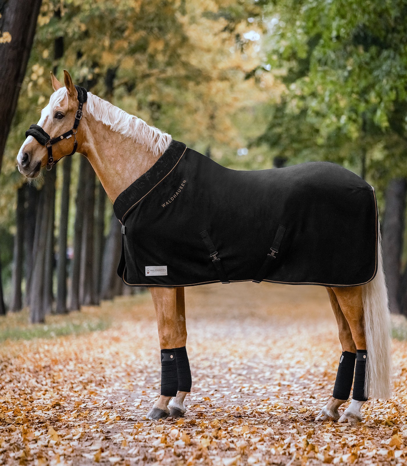 Waldhausen - Fleece rug modern rosé