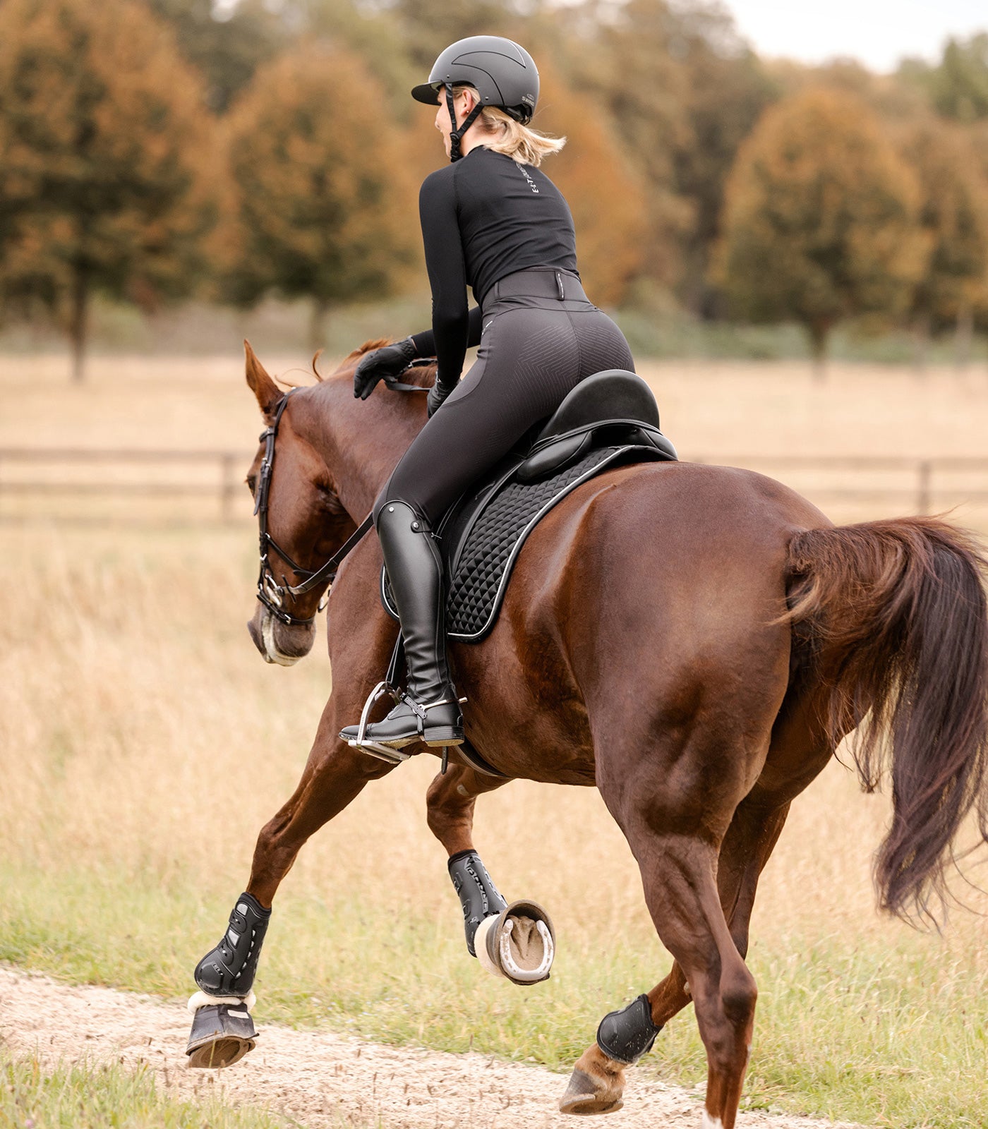 Waldhausen - Saddle Pad Felix Glam