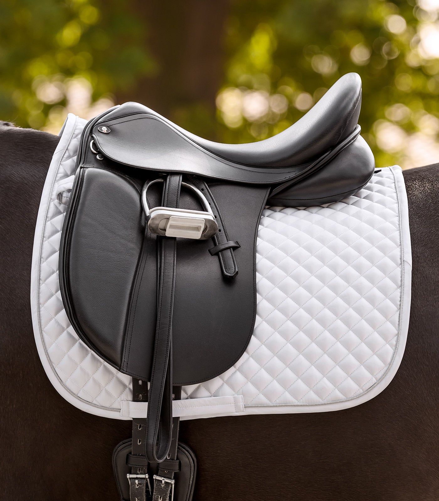 Waldhausen - Saddle Pad Felix Glam