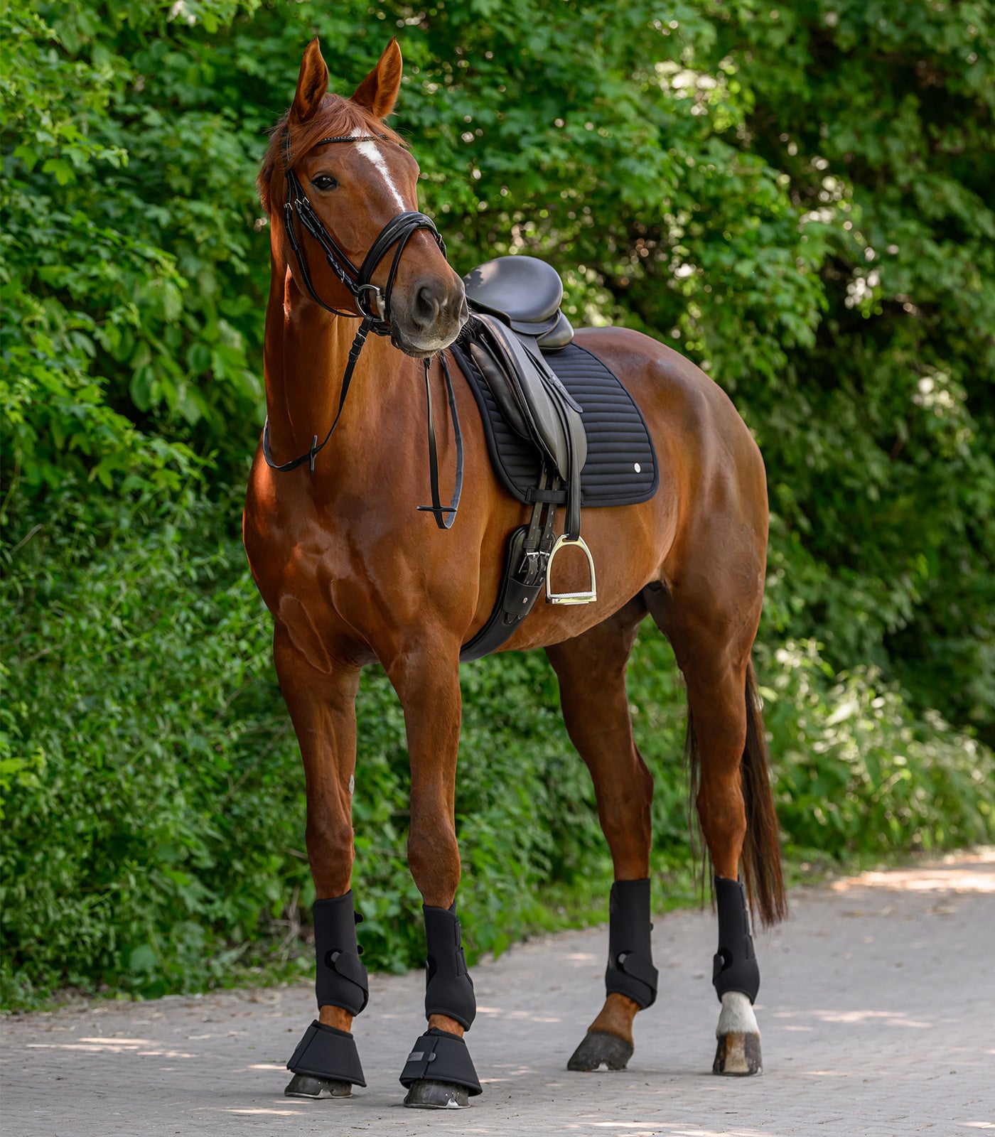 Waldhausen - Saddle Pad Trinidad