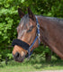 Waldhausen - Nosebandcover synthetic fabric