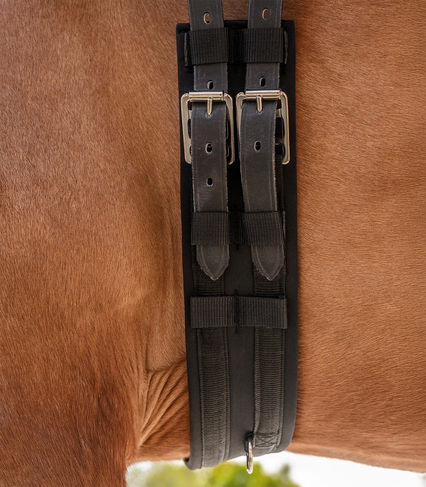 Waldhausen - Dressage Girth Economic, black