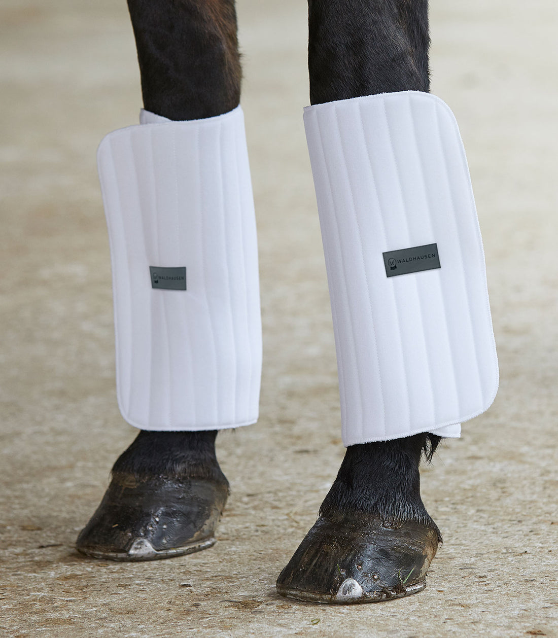 Waldhausen - Bandage pad with touch tape, 4