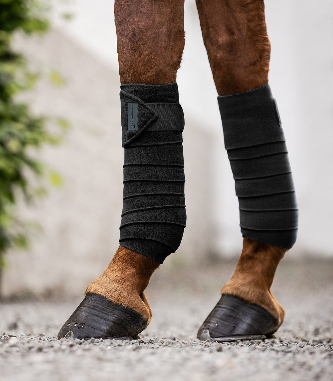 Waldhausen - Fleece Bandages Basic