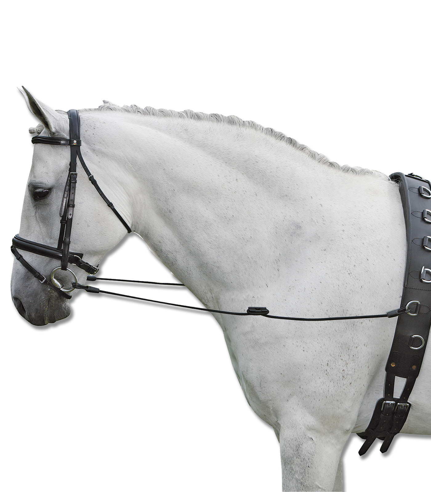 Waldhausen - Side Reins Fully Elastic, black