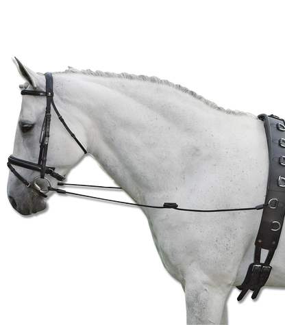 Waldhausen - Side Reins Fully Elastic, black