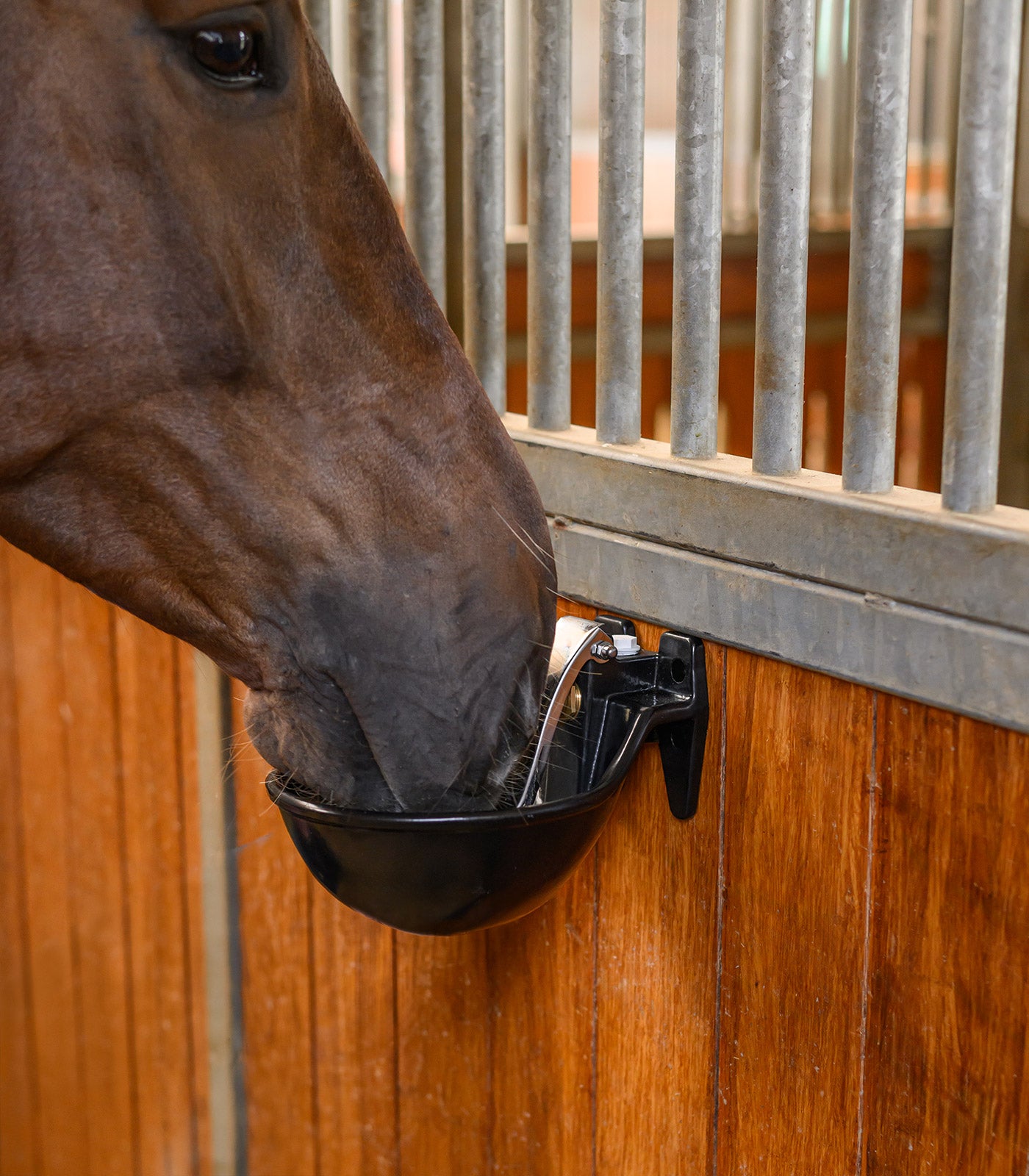Waldhausen - Water Drinking Bowl black
