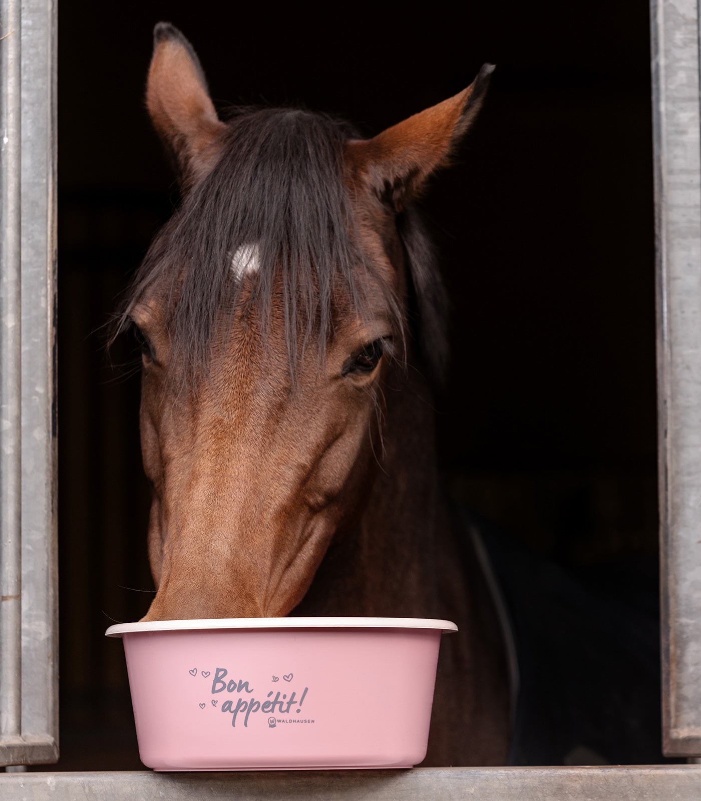 Waldhausen - Feeding Bowl "Bon Appétit!" with lid