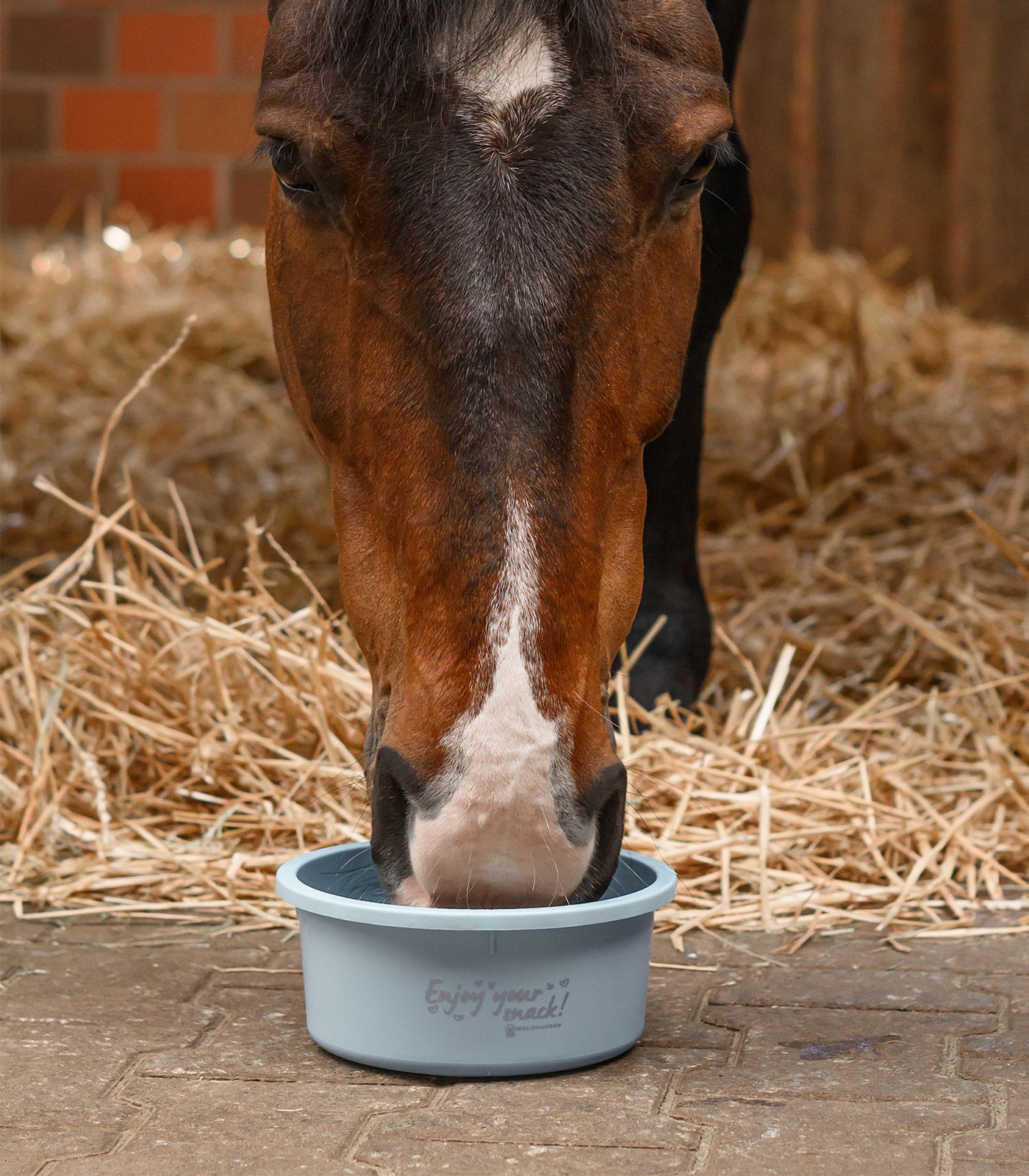 Waldhausen - Small Feeding Bowl "Enjoy your snack"